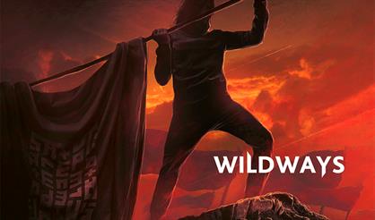 WILDWAYS + ПОЛ ПУНШ