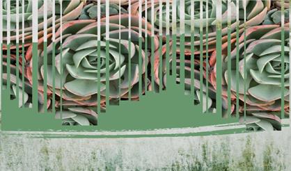 Фортепианные импровизации в тропиках. Владимир Шишлов