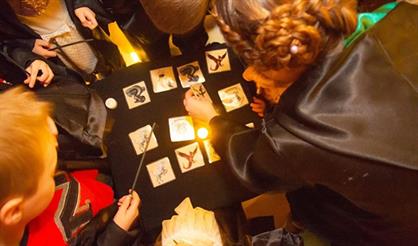 Гарри Поттер