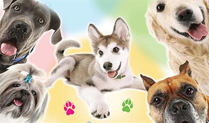 Дог-шоу «Четыре лапы… и хвост»