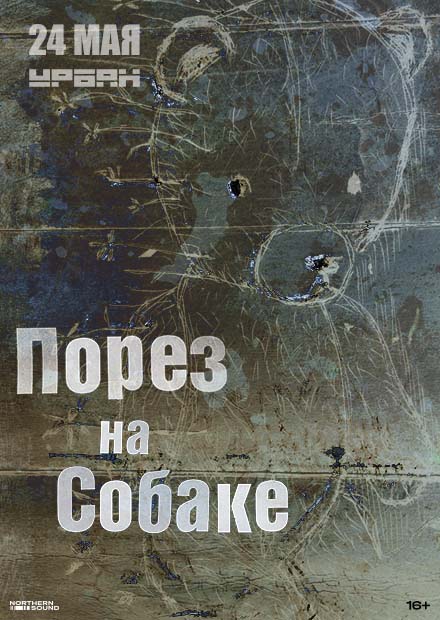 Порез на собаке