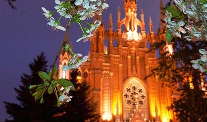 Бах, Букстехуде, Дворжак. Орган в четыре руки