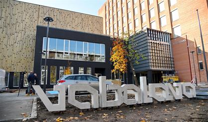 Пограничное состояние