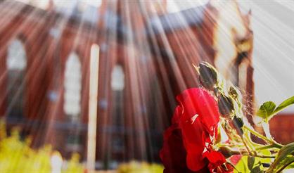 Ритмы лета. Орган, арфа, саксофон