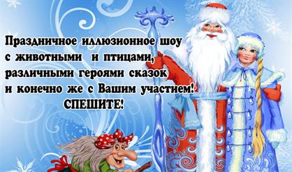 Сюрпризы Деда Мороза