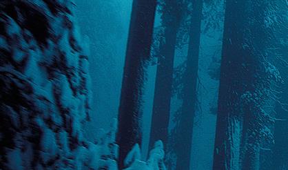 Зимние истории. Орган и домра