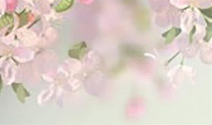 Клуб романса «Две гитары». Весна. Любовь. Романс