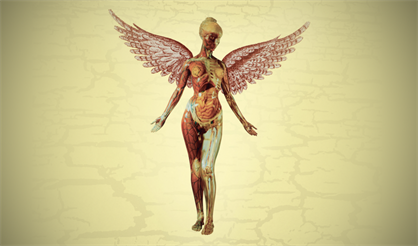 NIRVANA: 25 лет "In Utero"