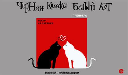 Чёрная кошка, белый кот