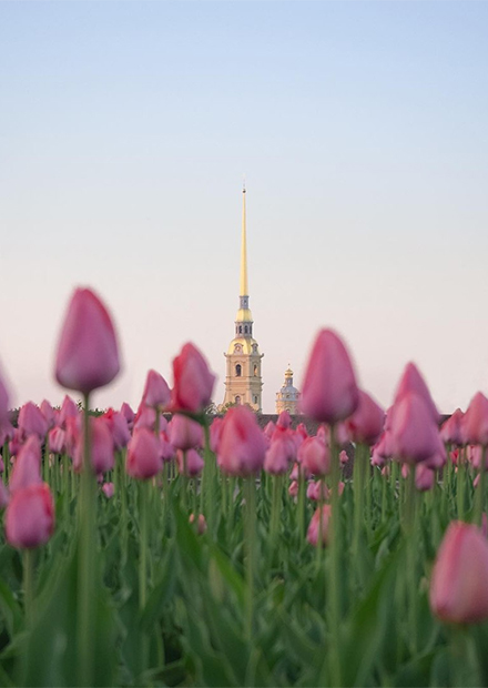 Петропавловка – сердце Петербурга