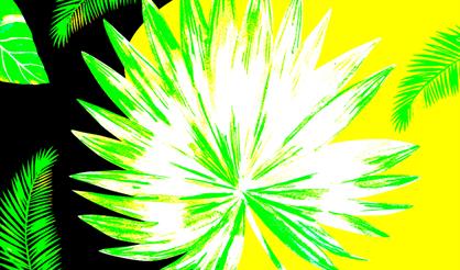 Тропический транс Vol. 3