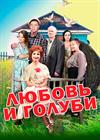 Любовь и Голуби