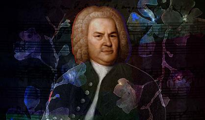 Вокруг Баха. Орган, флейта, виолончель