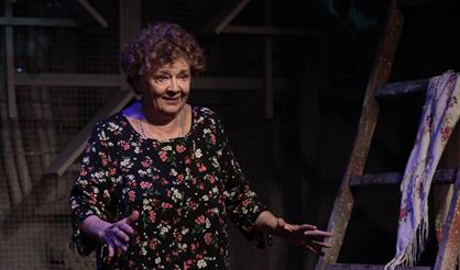 Баба голубиная