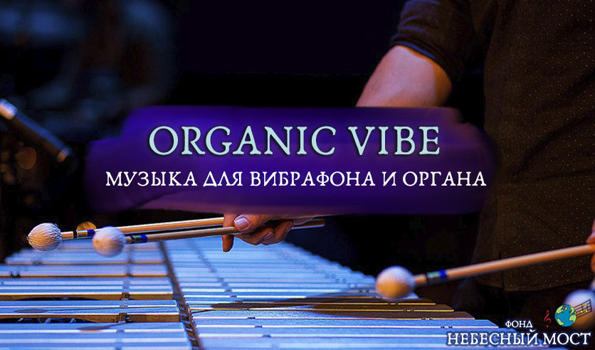 Vibe music. Вайб музыка. Живая музыка на вибрафоне. Орган концерты в Москве. Джазовый репетитор.