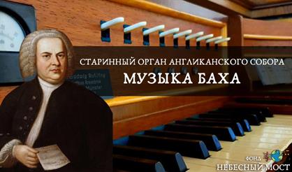 Старинный орган Англиканского собора. Музыка Баха