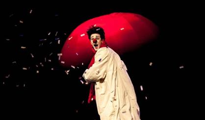 Шоу "Белые клоуны" (Кострома)