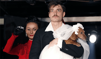 Волки и овцы