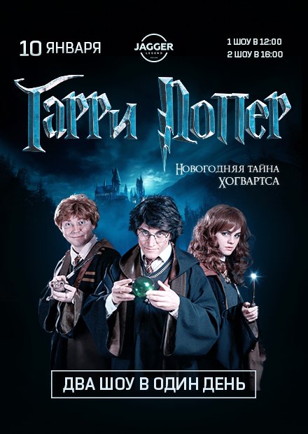 Гарри Поттер и новогодняя тайна Хогвартса