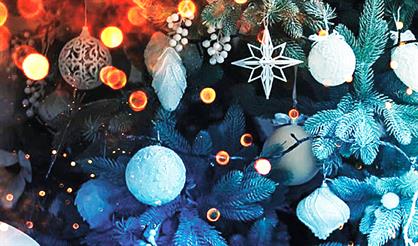 Мы встречаем Рождество. Орган, детский хор, художественное слово