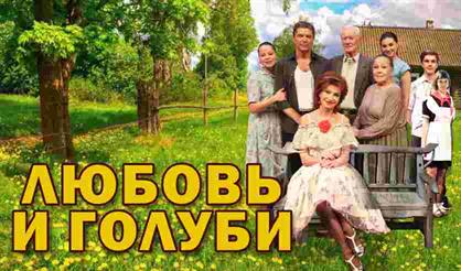 Любовь и голуби