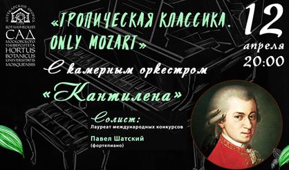 Тропическая классика. Only Mozart