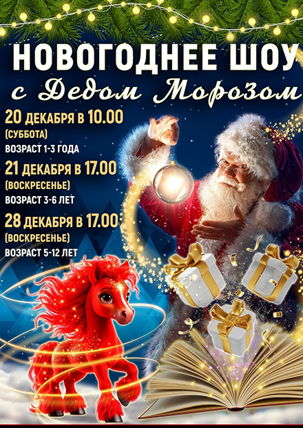 НОВОГОДНЕЕ ШОУ с ДЕДОМ МОРОЗОМ