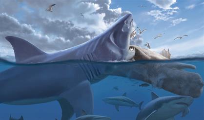 Жив ли мегалодон? Интерактивная лекция для детей от 5 лет и их родителей
