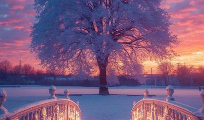 А. Вивальди, А. Пьяццолла. Времена года. Оркестр, орган, скрипка