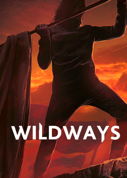 WILDWAYS + ПОЛ ПУНШ