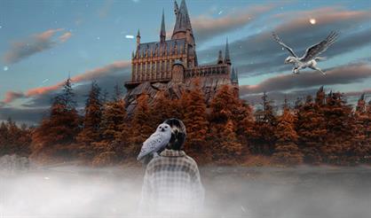 Международный день вселенной Гарри Поттера. HighTime Orchestra 