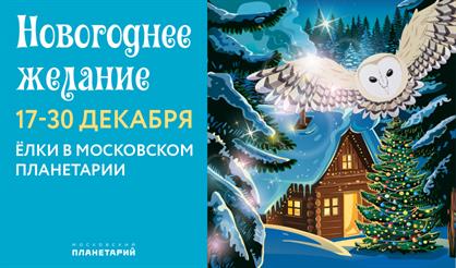 Новогоднее желание