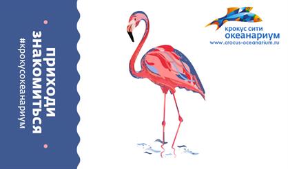 Крокус Сити Океанариум. Общая экспозиция