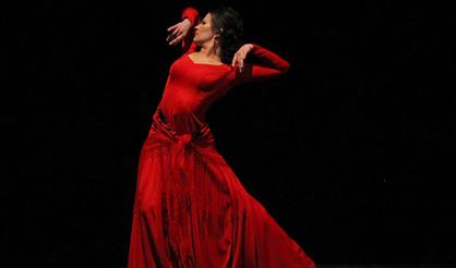 Фламенко. Джаз. Латина