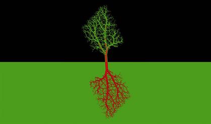 Посадить дерево