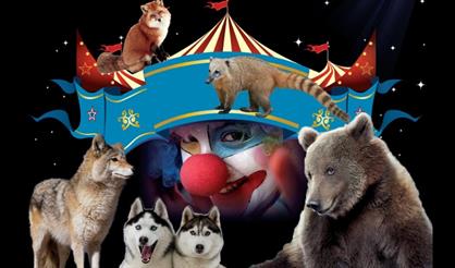 Лесная братва