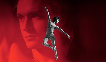 Christmas балет-гала: Денис Родькин и друзья