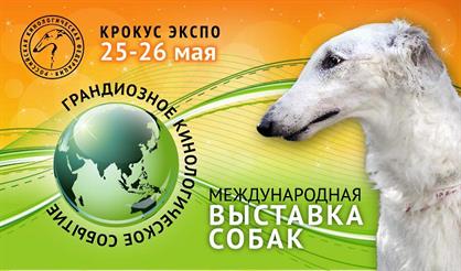 Международная выставка собак