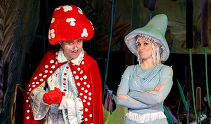 Грибной переполох