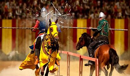 Международный конный фестиваль "Иваново Поле" (на 3 дня)