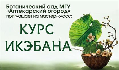 Мастер-класс "Икэбана Согэцу"