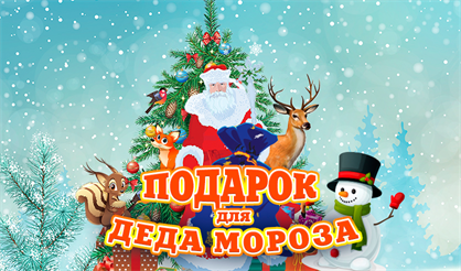 Подарок для Деда Мороза