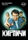 Кирпичи