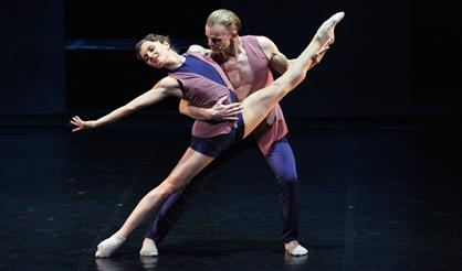 Зимняя роза