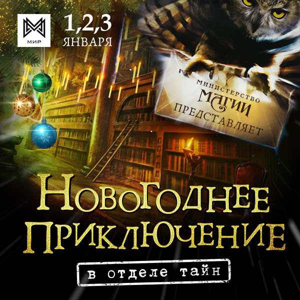 Новогодние Приключение 1