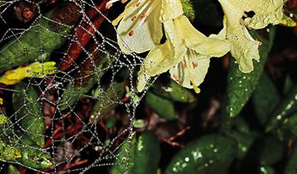 Клуб любителей туризма «Из дальних странствий возвратясь», 416