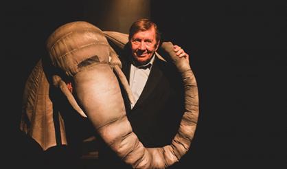 Задняя часть слона