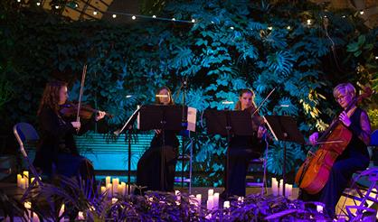 Сны Миядзаки. Секстет Espressivo