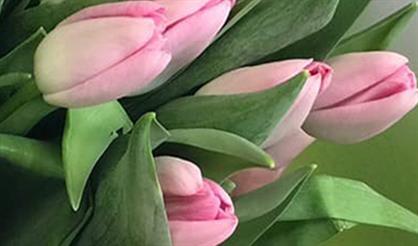 Клуб романса «Две гитары». «Драгоценная моя женщина!»