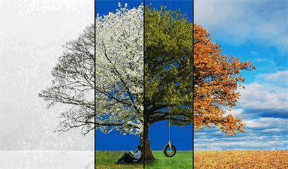 Времена года. Вивальди - Пьяццолла